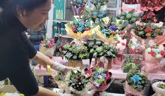 Loại cây cảnh bán chạy giá từ 80.000 đồng được phụ huynh và học sinh săn lùng để làm quà tặng thầy cô