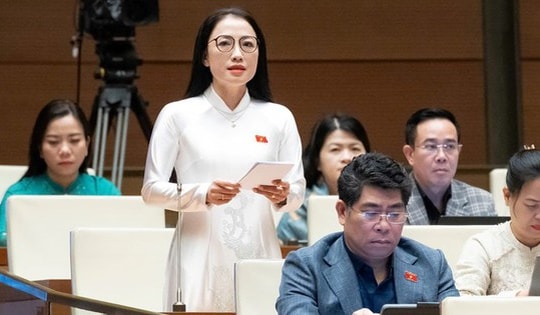 ĐBQH đề nghị bổ sung đào tạo sau đại học lĩnh vực sức khỏe vào hệ thống giáo dục quốc dân