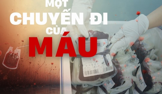 [Phóng sự ảnh] Giọt máu nghĩa tình và hành trình 'chặn' nguy cơ lây nhiễm HIV