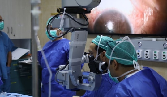 Hồi phục một phần thị lực nhờ giác mạc sinh học in 3D