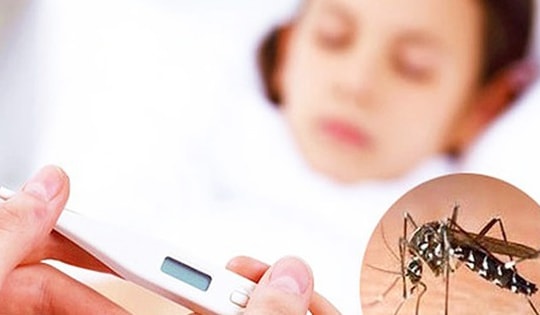 Mỗi năm cả nước ghi nhận khoảng 100.000 ca mắc sốt xuất huyết