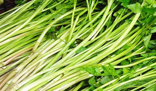 Người bị axit uric máu cao nên ăn gì?