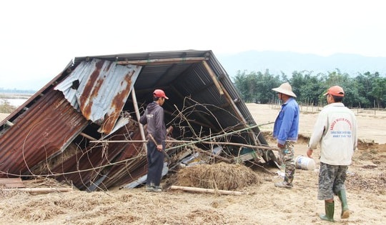 Sông Vu Gia tan tác sau lũ, nơi sạt lở nuốt đất, nơi cát bồi kín ruộng