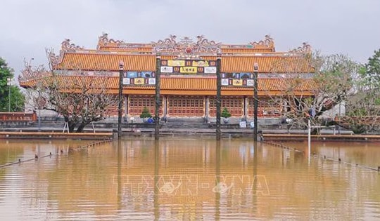 Xử lý khẩn cấp, gia cố đoạn tường thành phía Bắc Hoàng thành Huế