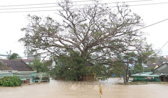 Mưa lũ đã gây thiệt hại hơn 5.300 tỷ đồng tại Đắk Lắk