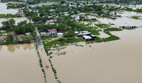 Bộ GD-ĐT sẽ cấp phát sách giáo khoa cho toàn bộ học sinh vùng lũ