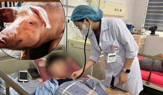 Lợn cắn vào gối, bé trai nhiễm khuẩn huyết, tổn thương xương