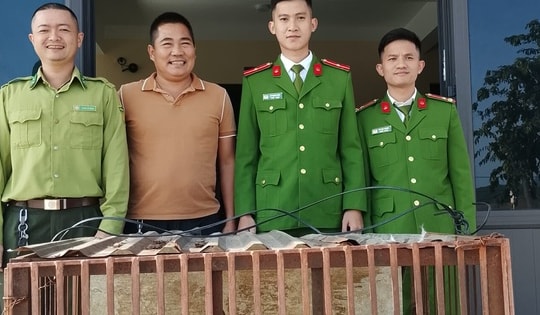 Tiếp nhận cá thể khỉ vàng quý hiếm do người dân tự nguyện giao nộp