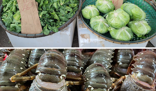 Sau mưa bão, tôm hùm Phú Yên tìm nơi giải cứu từ 180.000 đồng/kg, người dân ở Hà Nội 'đo đếm' từng cọng hành vì rau xanh đắt đỏ