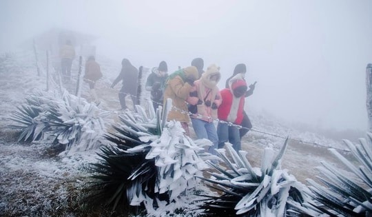 Miền Bắc đối mặt rét khô, sương muối dày trong thời gian tới