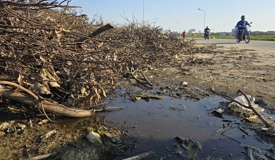 Nghệ An: Rác chất thành núi gây ô nhiễm