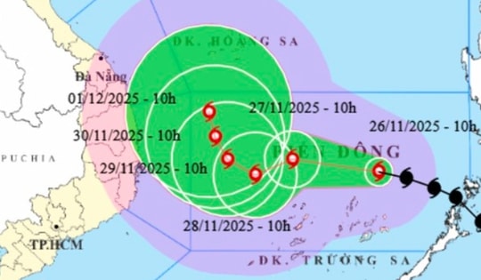 Thủ tướng: Chủ động rà soát, hoàn thiện phương án, sẵn sàng sơ tán dân vùng nguy hiểm ứng phó bão 15