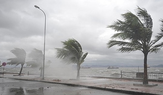 Bão số 15 sẽ hướng vào khu vực nào trên đất liền?