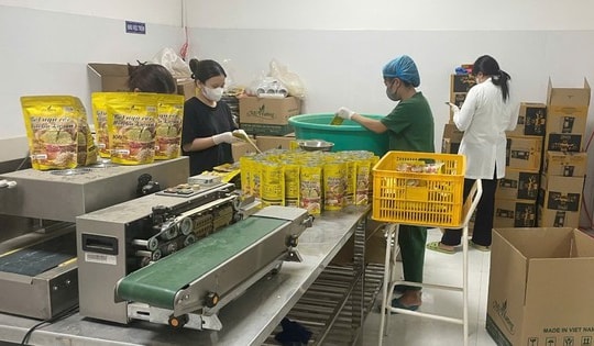 Khởi tố cơ sở sản xuất bột ngũ cốc Matcha lá sen giả