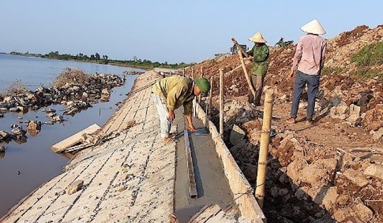 Đảm bảo an toàn hệ thống đê điều ứng phó bão số 15