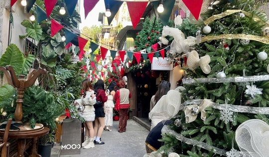 Ngõ nhỏ ở Hà Nội 'hút' giới trẻ trước mùa Giáng sinh