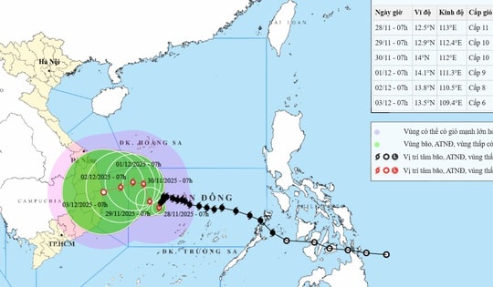 Bão số 15 giảm còn cấp 11, hướng vào Gia Lai