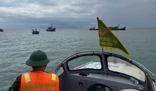 Lâm Đồng cấm toàn bộ tàu thuyền ra khơi, kích hoạt ứng phó cao nhất với bão số 15