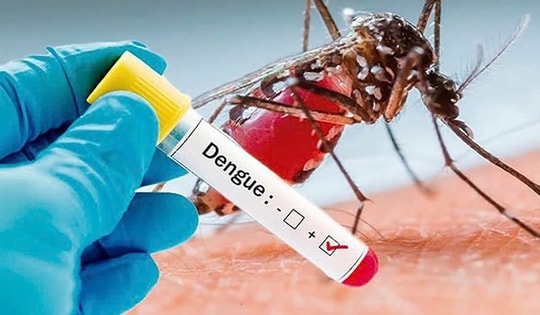 Sốt xuất huyết Dengue là nguy cơ với mọi lứa tuổi chứ không riêng trẻ em
