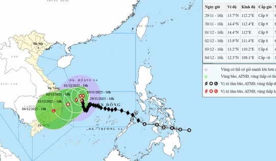 Áp thấp nhiệt đới dị thường đã tan trên biển, bão số 15 vẫn giật cấp 11