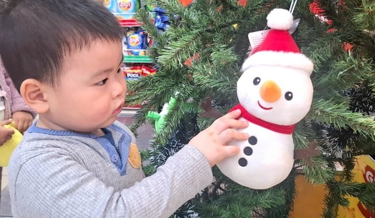 Không khí Giáng sinh lan tỏa khắp phố phường Hà Nội