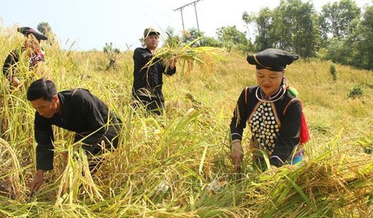 Những chính sách mới nổi bật có hiệu lực từ tháng 12/2025