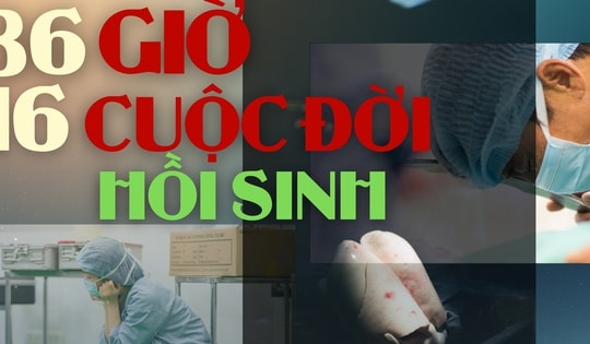 36 giờ, 16 cuộc đời hồi sinh dưới ánh đèn không hắt bóng