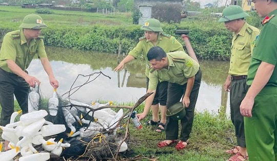 Nghệ An đồng loạt truy quét, chặn đứng nạn tận diệt chim hoang dã