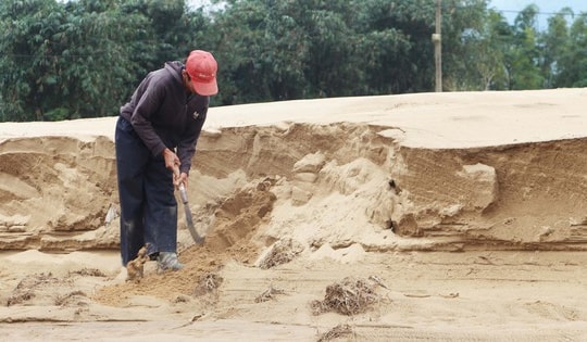 Đà Nẵng khẩn trương xử lý đất, cát bồi lấp sau đợt lũ lịch sử
