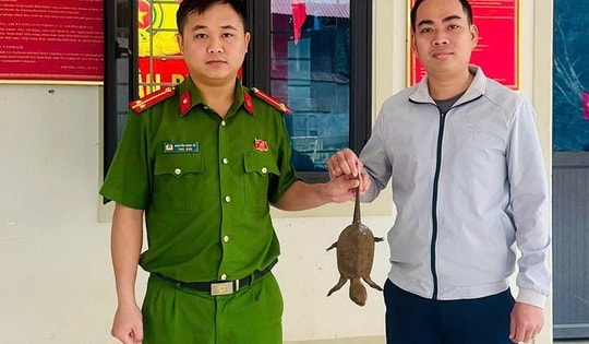 Người dân miền Tây Nghệ An liên tiếp giao nộp động vật hoang dã quý hiếm