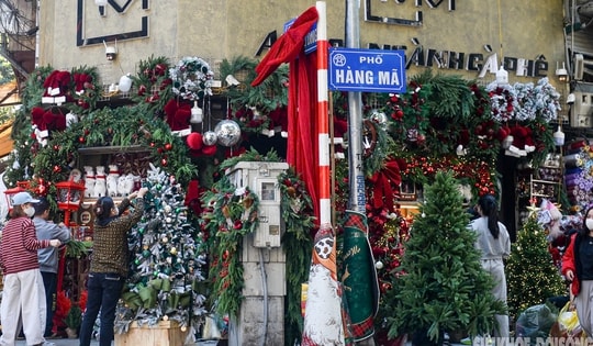 Phố Hàng Mã gọn gàng, thông thoáng dịp Noel