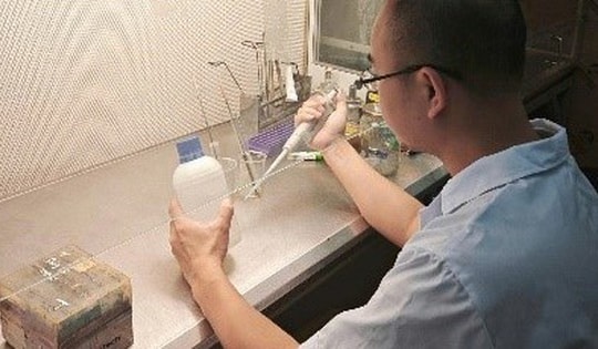 Nhà khoa học Việt nuôi đông trùng hạ thảo giàu hoạt chất trên sâu chít