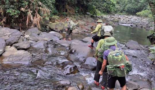 Những hiểm nguy trong hành trình bảo vệ động vật hoang dã quý hiếm