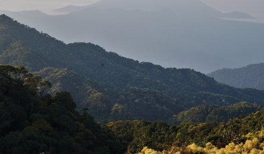 Khám phá Vườn di sản ASEAN, 'mái nhà chung' của nhiều loài động vật quý hiếm ở Huế