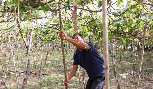Người dân Khánh Hòa nỗ lực tái thiết cuộc sống sau lũ dữ