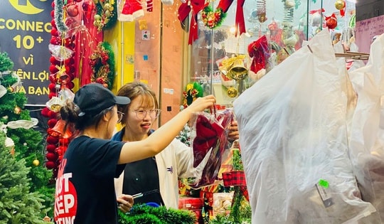 Thông tươi giá rẻ được chị em ‘săn đón’ trang trí dịp Giáng sinh 2025