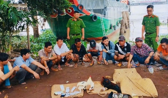 Đột kích tụ điểm đá gà ăn tiền, bắt 10 đối tượng