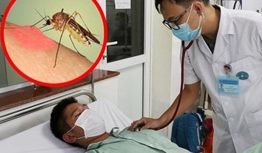 Sốt xuất huyết: Xử trí và dùng thuốc đúng hướng dẫn để tránh biến chứng nguy hiểm