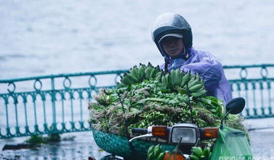 Tết Nguyên đán năm nay, nhiệt độ có thể lạnh hơn trung bình nhiều năm