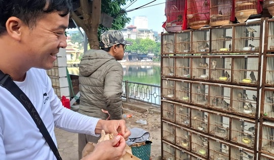 Chợ của người mê chim ở Hà Nội có gì lạ?