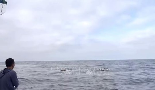 Nhanh chóng cứu 7 ngư dân gặp nạn do chìm tàu cá