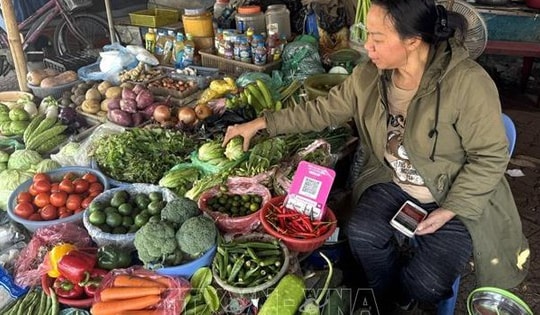 Giá rau xanh hạ nhiệt