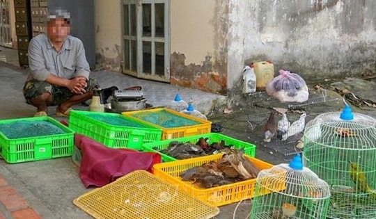 Người dân giao nộp 42 con chim, cò hoang dã để thả về tự nhiên