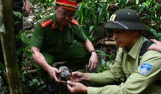 Gỡ bỏ nhiều bẫy động vật hoang dã ở Bán đảo Sơn Trà