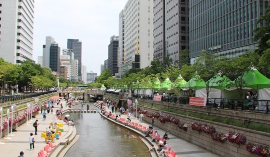 Bên trong nỗ lực hồi sinh những dòng sông ô nhiễm nhất thế giới