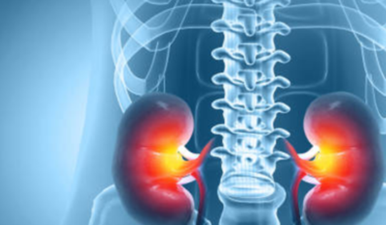 Tổn thương thận âm thầm từ thực phẩm chức năng và vitamin ‘tốt cho sức khỏe’