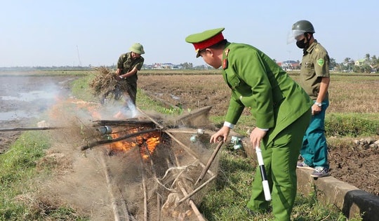 Truy quét hàng loạt vụ săn bắt, buôn bán động vật hoang dã