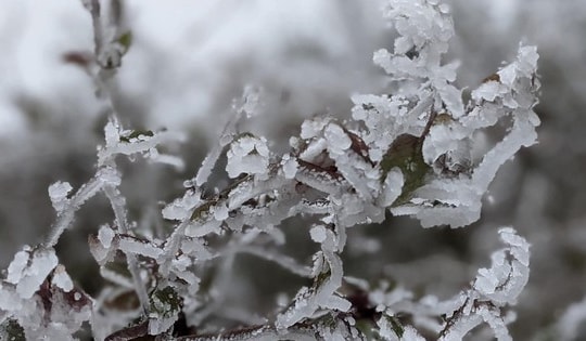 Đợt rét ở miền Bắc kéo dài đến khi nào?