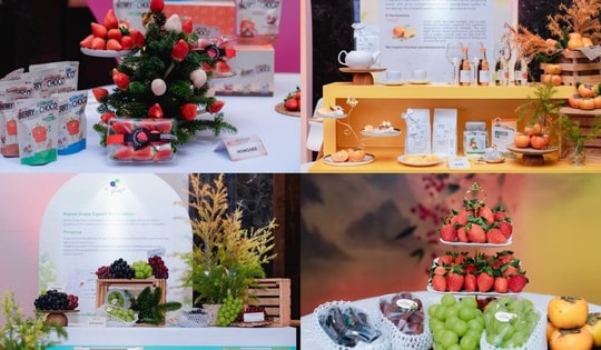 Premium K-Fresh Showcase & Tasting Event 2025: Tinh hoa trái cây cao cấp Hàn Quốc hội tụ tại Hà Nội