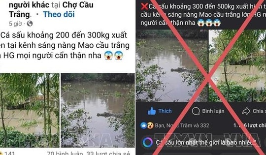 Triệu tập thanh niên đưa tin bịa đặt về cá sấu 'khổng lồ'